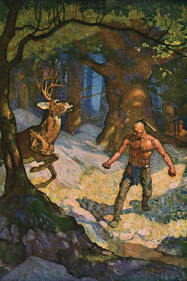 Cover of The Last of the Mohicans