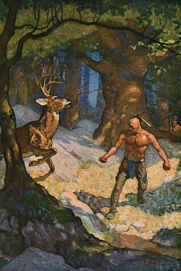 Cover of The Last of the Mohicans