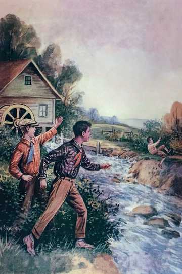 Cover of The Secret of the Old Mill