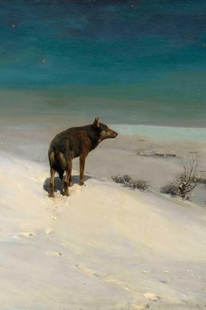 Cover of White Fang
