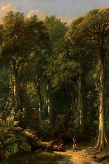 Cover of An Outcast of the Islands