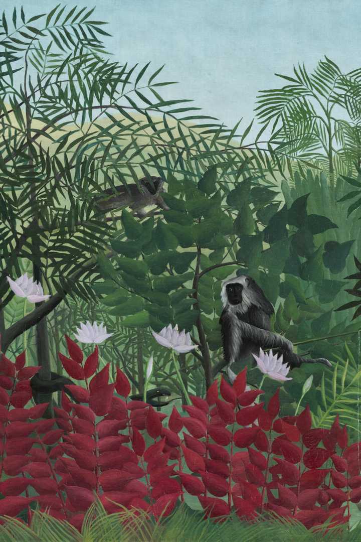 Cover of Tarzan of the Apes