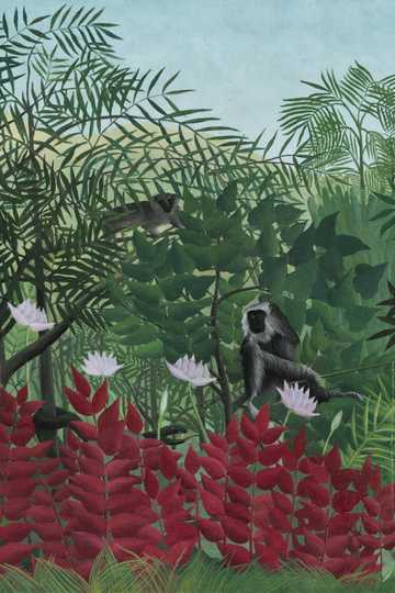 Cover of Tarzan of the Apes