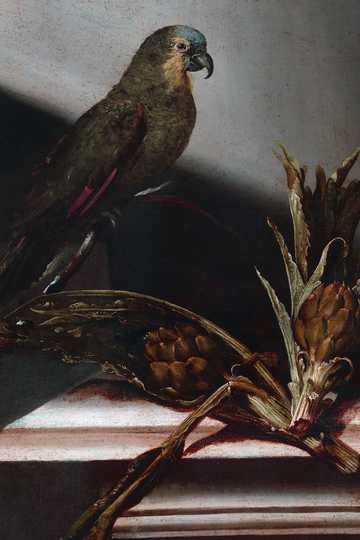 Cover of The Chinese Parrot