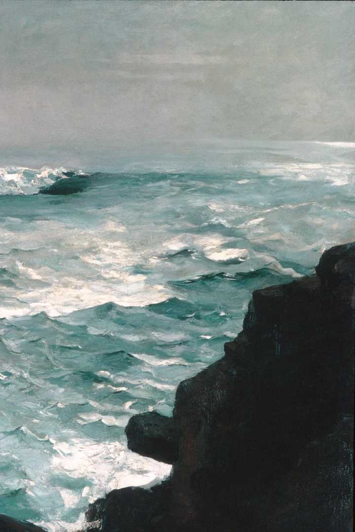 Cover of The Island of Doctor Moreau
