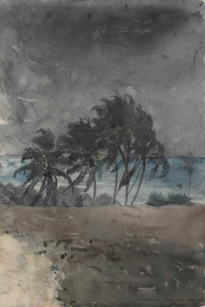 Cover of A High Wind in Jamaica