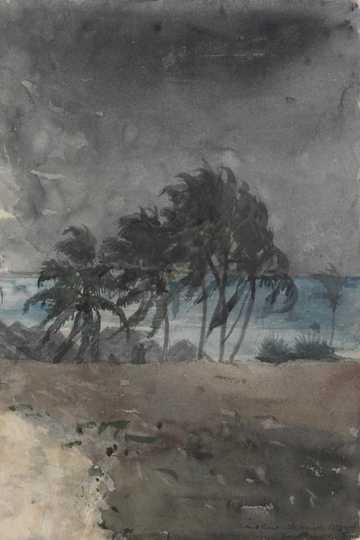 Cover of A High Wind in Jamaica