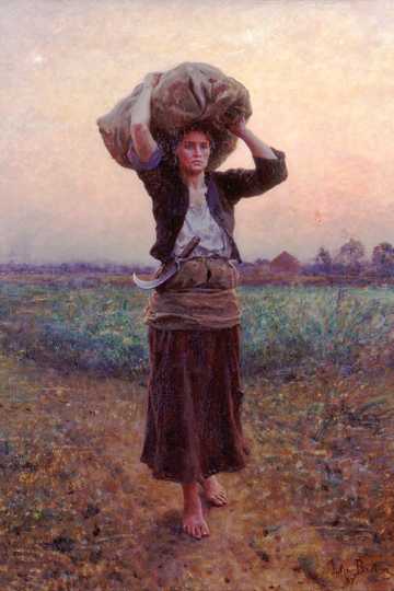 Cover of The Song of the Lark