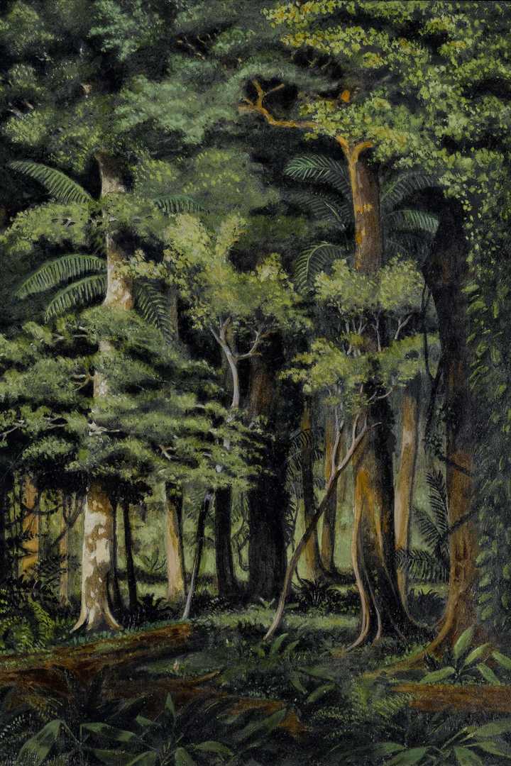 Cover of Heart of Darkness