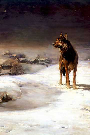 Cover of The Call of the Wild