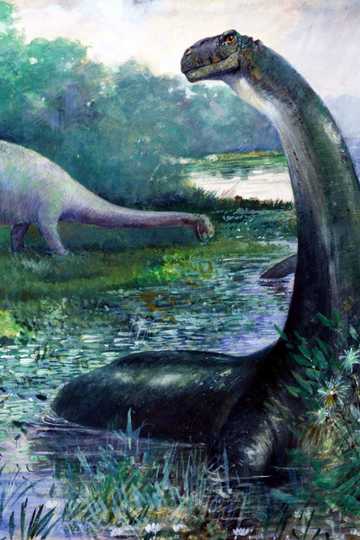 Cover of The Lost World