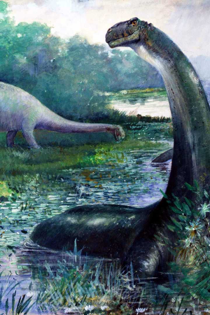 Cover of The Lost World