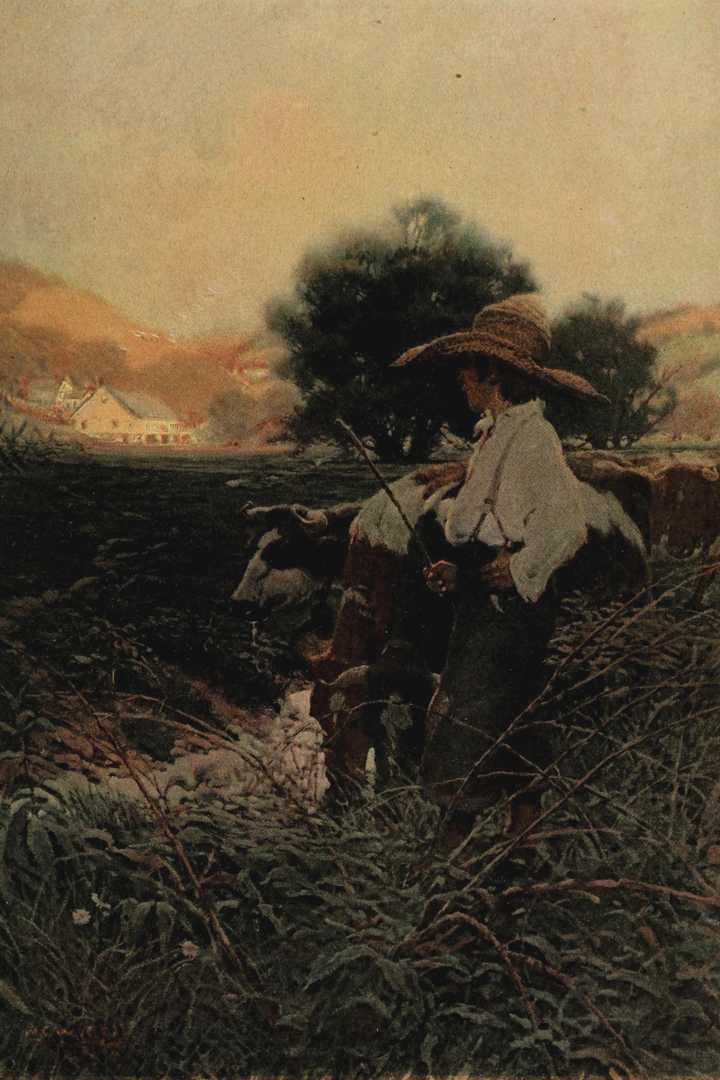 Cover of The Adventures of Huckleberry Finn