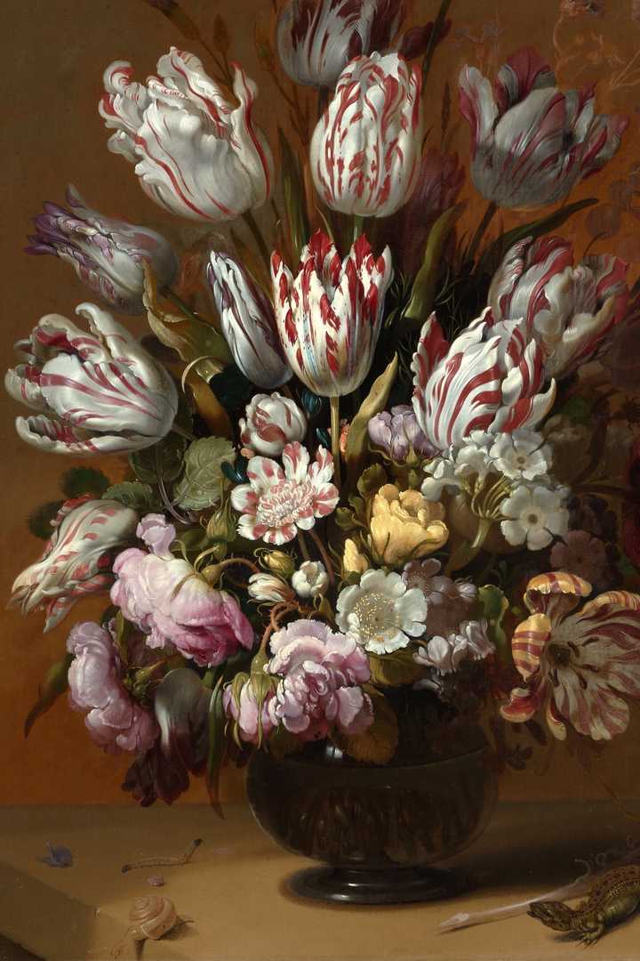 Cover of The Black Tulip
