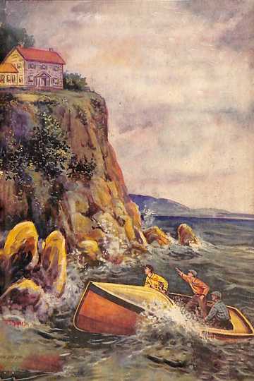 Cover of The House on the Cliff