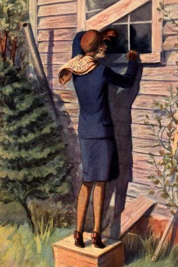 Cover of The Bungalow Mystery