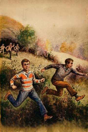 Cover of The Missing Chums