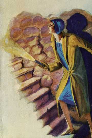 Cover of The Hidden Staircase