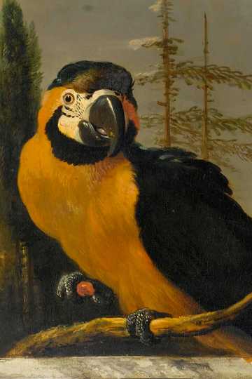 Cover of The Voyages of Doctor Dolittle