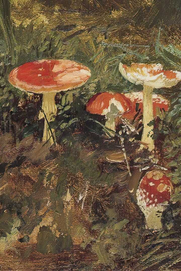 Cover of Alice’s Adventures in Wonderland