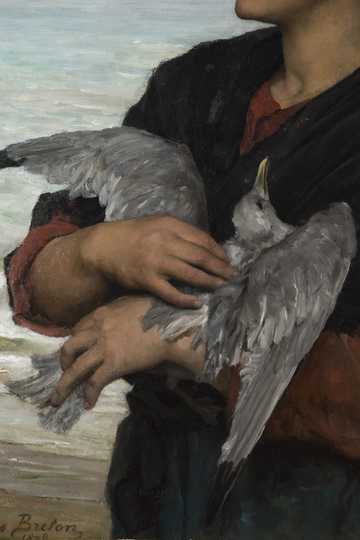 Cover of The Seagull