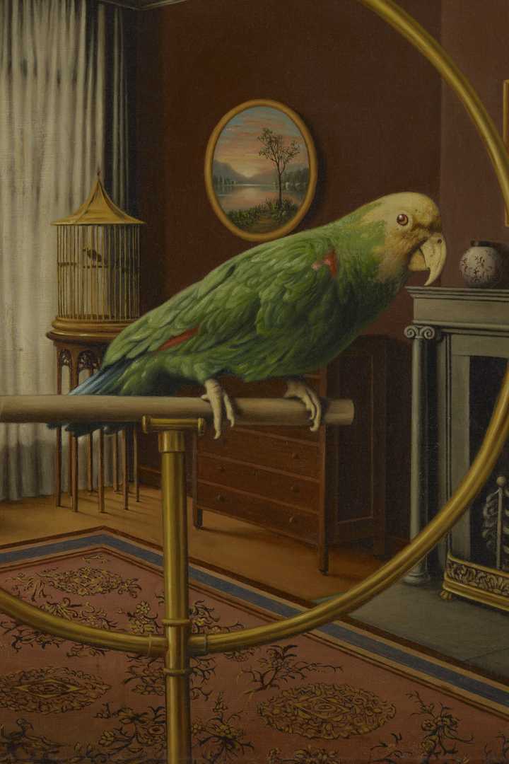 Cover of The Story of Doctor Dolittle