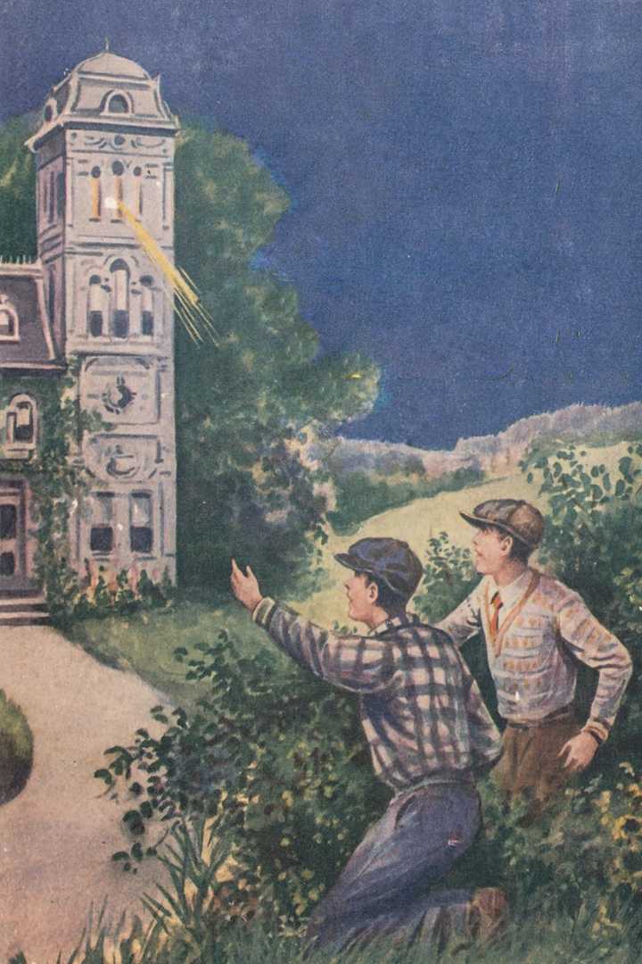 Cover of The Tower Treasure