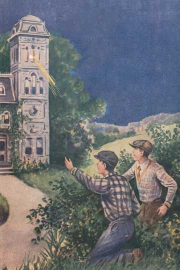 Cover of The Tower Treasure