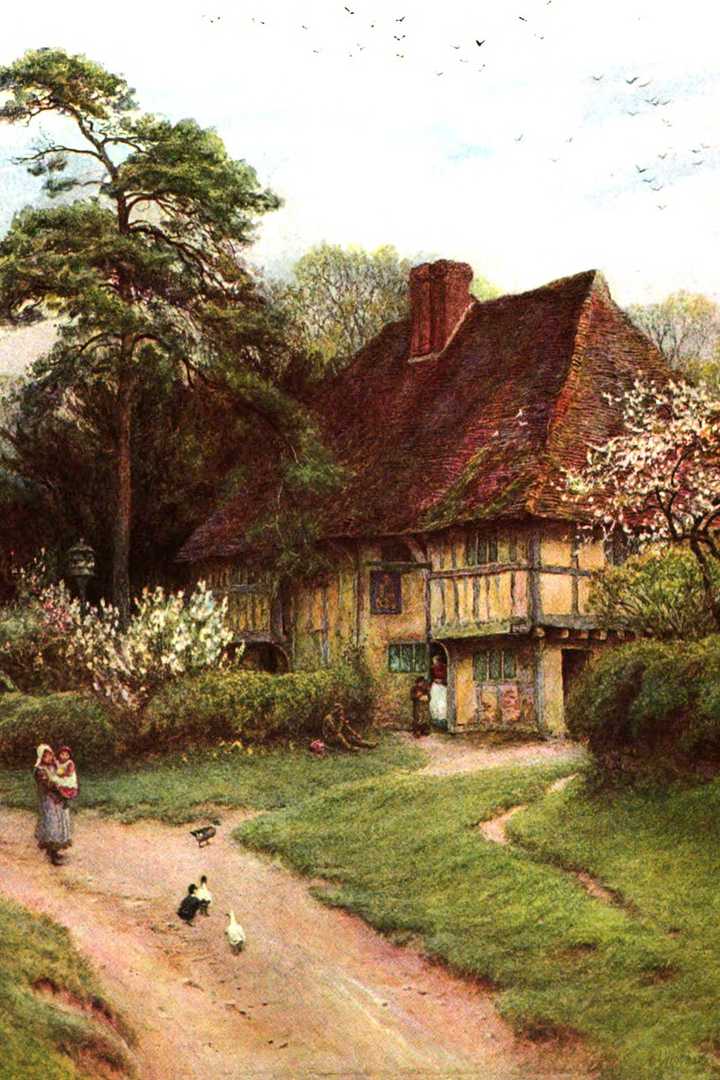 Cover of Cranford