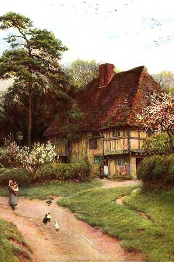 Cover of Cranford