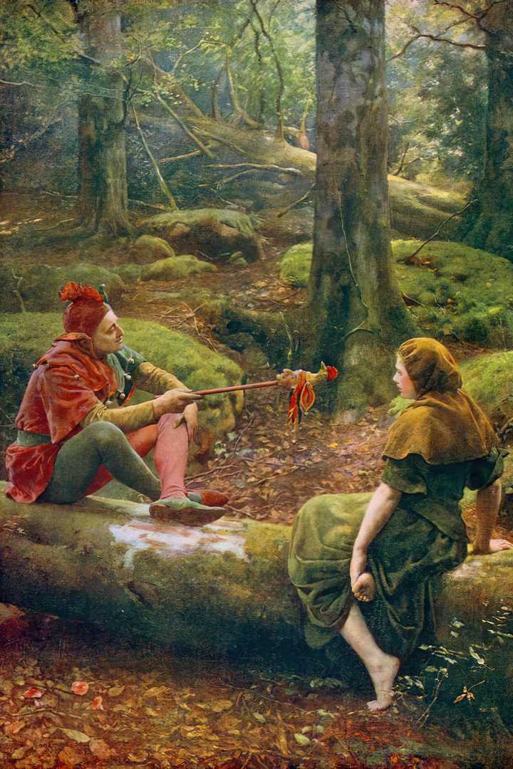 Cover of As You Like It