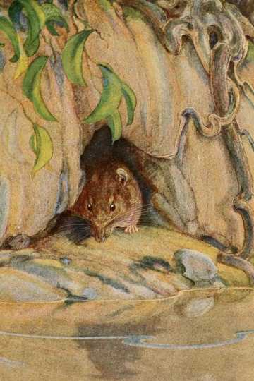 Cover of The Wind in the Willows