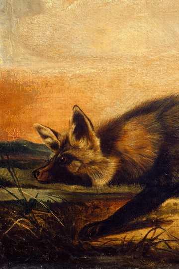 Cover of The Mark of Zorro