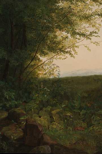 Cover of The King of Elfland’s Daughter