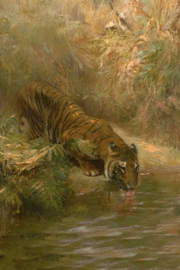 Cover of The Jungle Book